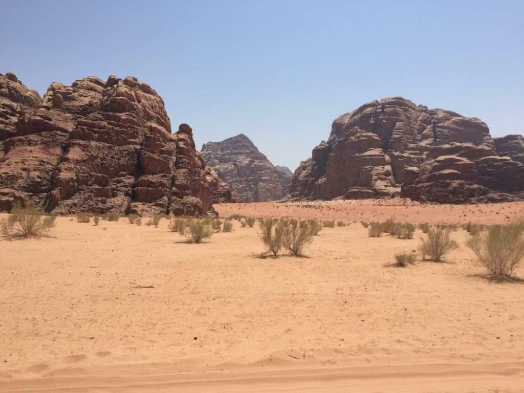 WADI RUM-Bedouin Tents Exterior foto