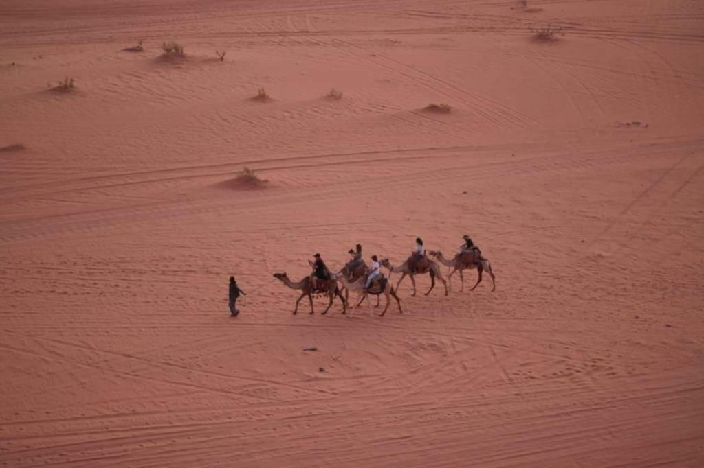 WADI RUM-Bedouin Tents Exterior foto